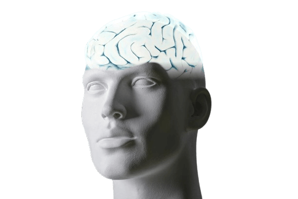 Deal with a Narcissist on a Subconscious Level