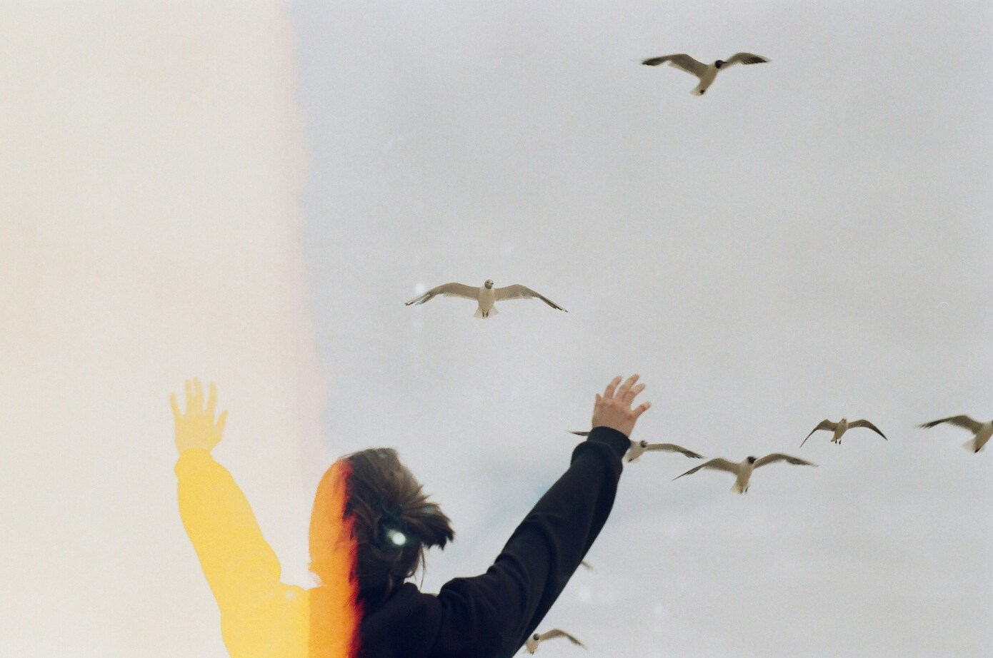 Woman raising her arms as broken chains and birds symbolize hope and the journey to heal from an abusive relationship.